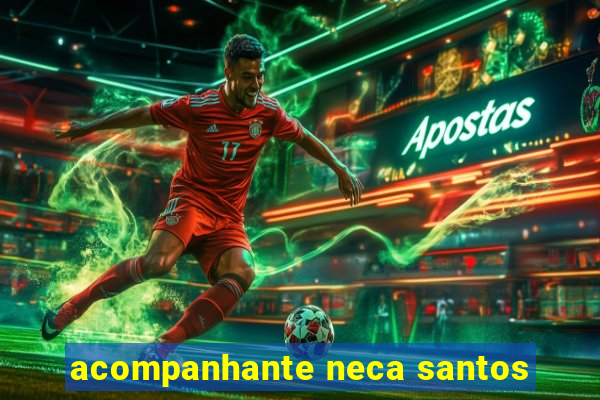 acompanhante neca santos