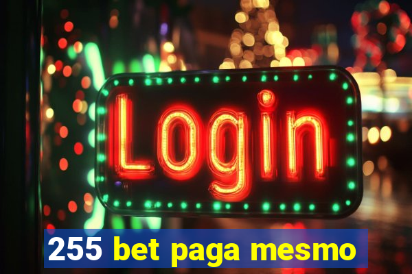 255 bet paga mesmo