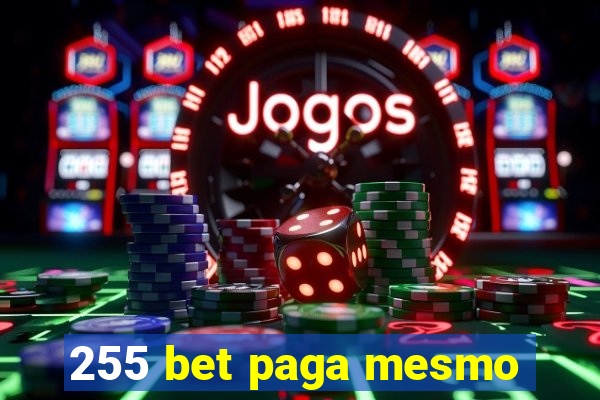 255 bet paga mesmo