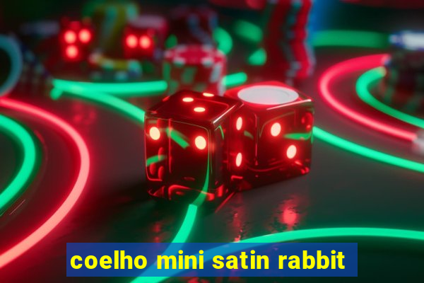 coelho mini satin rabbit