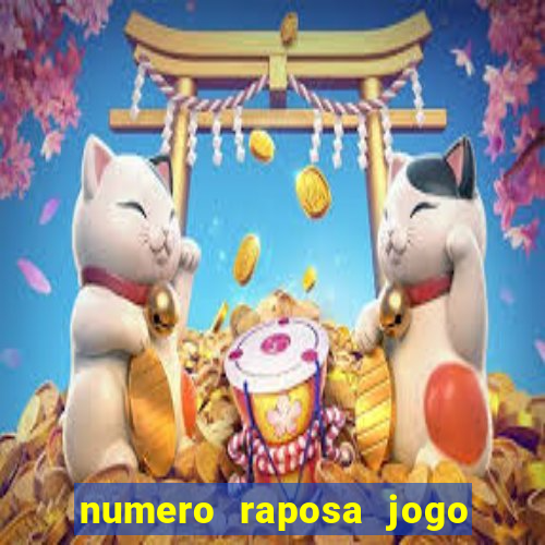 numero raposa jogo do bicho