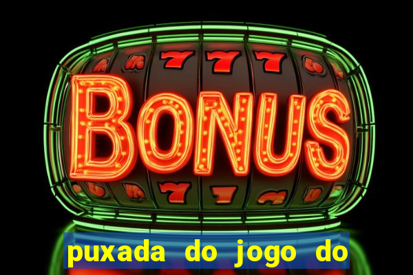 puxada do jogo do bicho da sueli