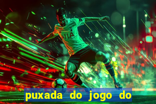 puxada do jogo do bicho da sueli