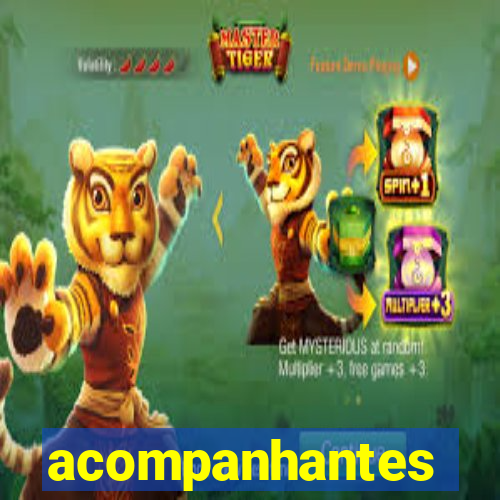 acompanhantes chamadas de video