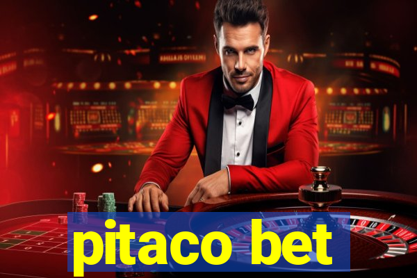 pitaco bet