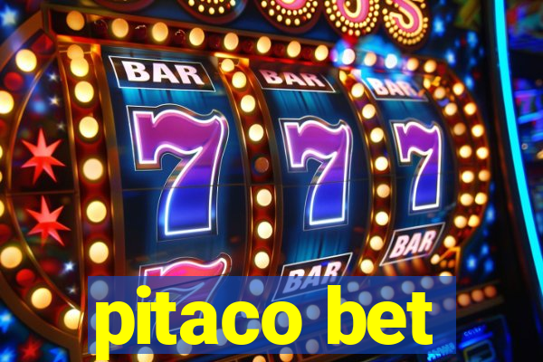 pitaco bet