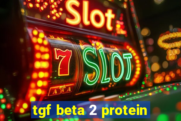 tgf beta 2 protein