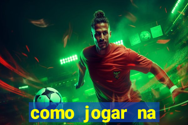 como jogar na lotinha do jogo do bicho