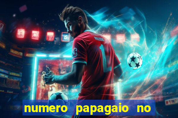 numero papagaio no jogo do bicho