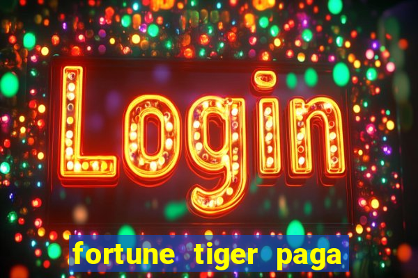 fortune tiger paga de madrugada