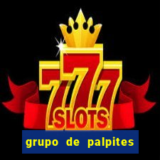 grupo de palpites de futebol whatsapp