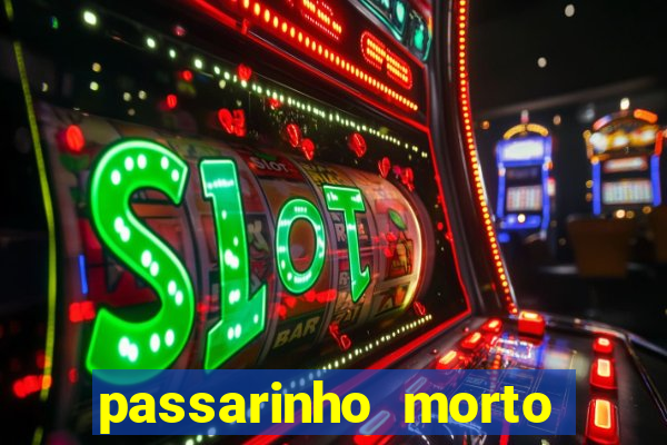 passarinho morto significado espiritual