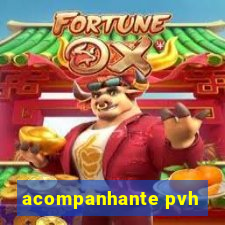 acompanhante pvh