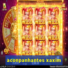 aconpanhantes xaxim