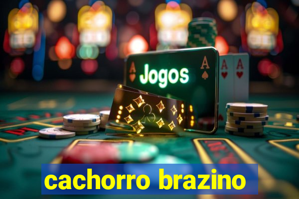 cachorro brazino