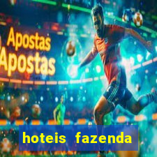 hoteis fazenda porto velho