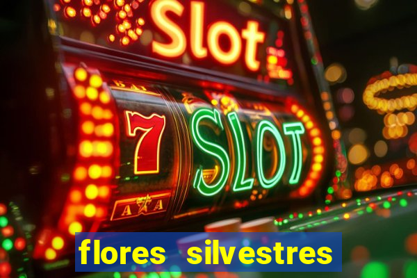 flores silvestres desbravadores desbravadores 25