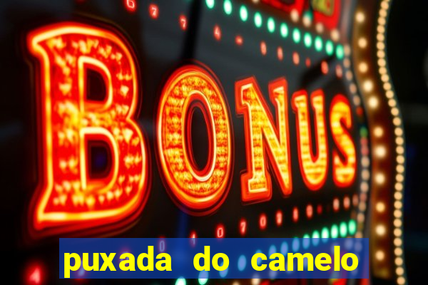 puxada do camelo no jogo do bicho