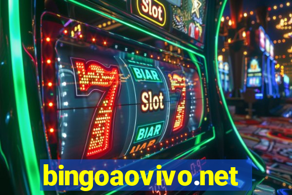 bingoaovivo.net