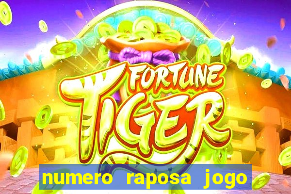 numero raposa jogo do bicho