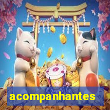 acompanhantes chamadas de video